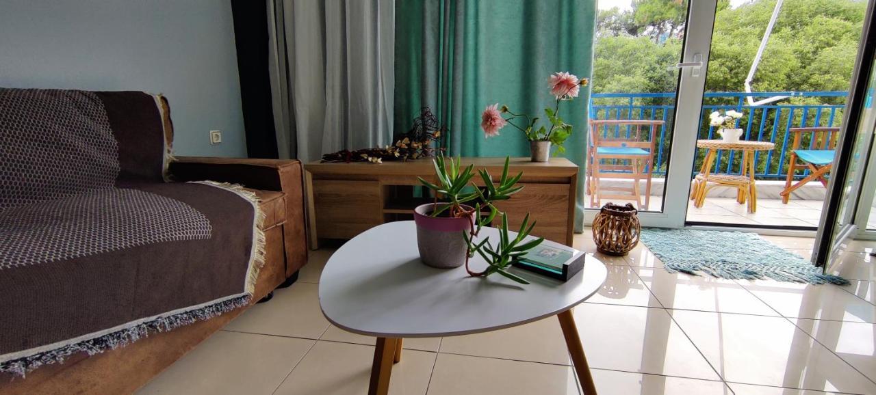 Hospitable Appartment In The Central Park, ซานธี ภายนอก รูปภาพ